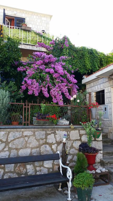 Guesthouse Ivona Dubrovnik Quarto foto