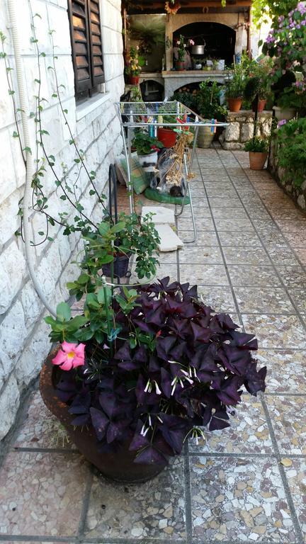Guesthouse Ivona Dubrovnik Quarto foto