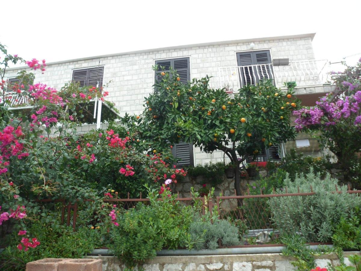 Guesthouse Ivona Dubrovnik Quarto foto
